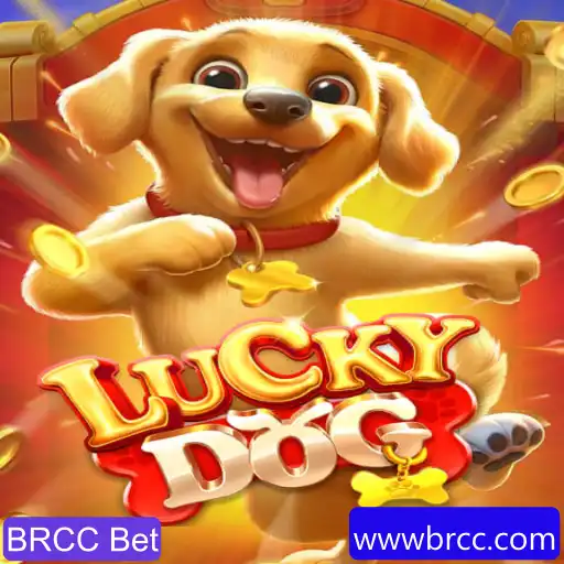 Descubra LuckyDog: O Jogo de Estratégia e Sorte que Conquistou os Usuários da BRCC Bet