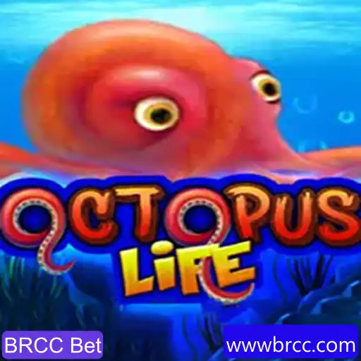 Descubra o Fascinante Mundo de OctopusLife e BRCC Bet
